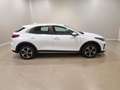 Kia XCeed 1.6 GDi PHEV DCT Vision LED|RFK|SHZ Weiß - thumbnail 7