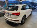 Audi SQ5 SQ5 3,0 TDI quattro DPF Tiptronic Weiß - thumbnail 7