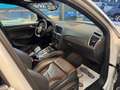 Audi SQ5 SQ5 3,0 TDI quattro DPF Tiptronic Weiß - thumbnail 4