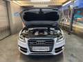 Audi SQ5 SQ5 3,0 TDI quattro DPF Tiptronic Weiß - thumbnail 17