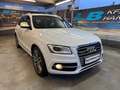 Audi SQ5 SQ5 3,0 TDI quattro DPF Tiptronic Weiß - thumbnail 1