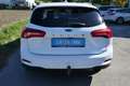 Ford Focus Cool&Connect Weiß - thumbnail 5