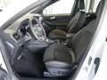 Ford Kuga 2,5 Duratec FHEV ST-Line X Aut. Weiß - thumbnail 18