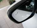 Ford Kuga 2,5 Duratec FHEV ST-Line X Aut. Blanc - thumbnail 16