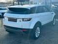 Land Rover Range Rover Evoque SE Dynamic SPURHALTE/KAMERA Weiß - thumbnail 5
