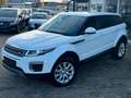 Land Rover Range Rover Evoque SE Dynamic SPURHALTE/KAMERA Weiß - thumbnail 8