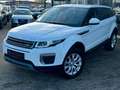 Land Rover Range Rover Evoque SE Dynamic SPURHALTE/KAMERA Weiß - thumbnail 2