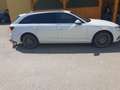 Audi A4 A4 Avant 2,0 TDI quattro S-tronic Weiß - thumbnail 1