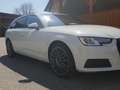 Audi A4 A4 Avant 2,0 TDI quattro S-tronic Weiß - thumbnail 3
