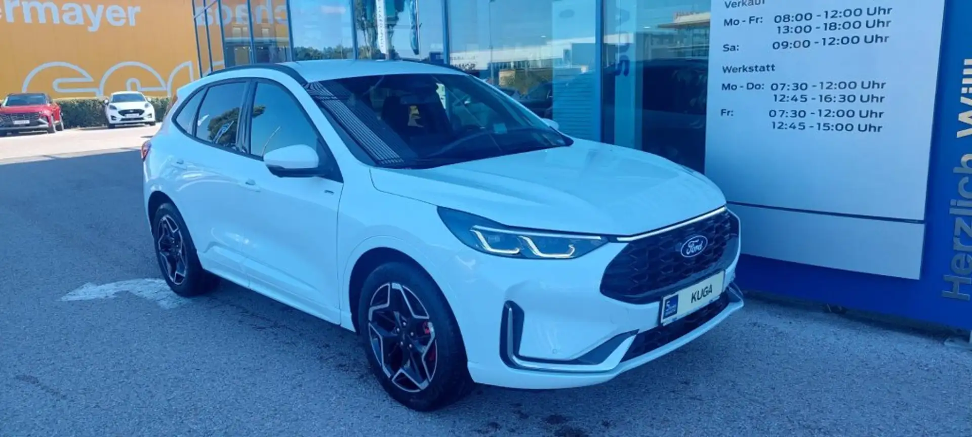 Ford Kuga ST-Line X 2,5 FHEV 180PS CVT Weiß - 1