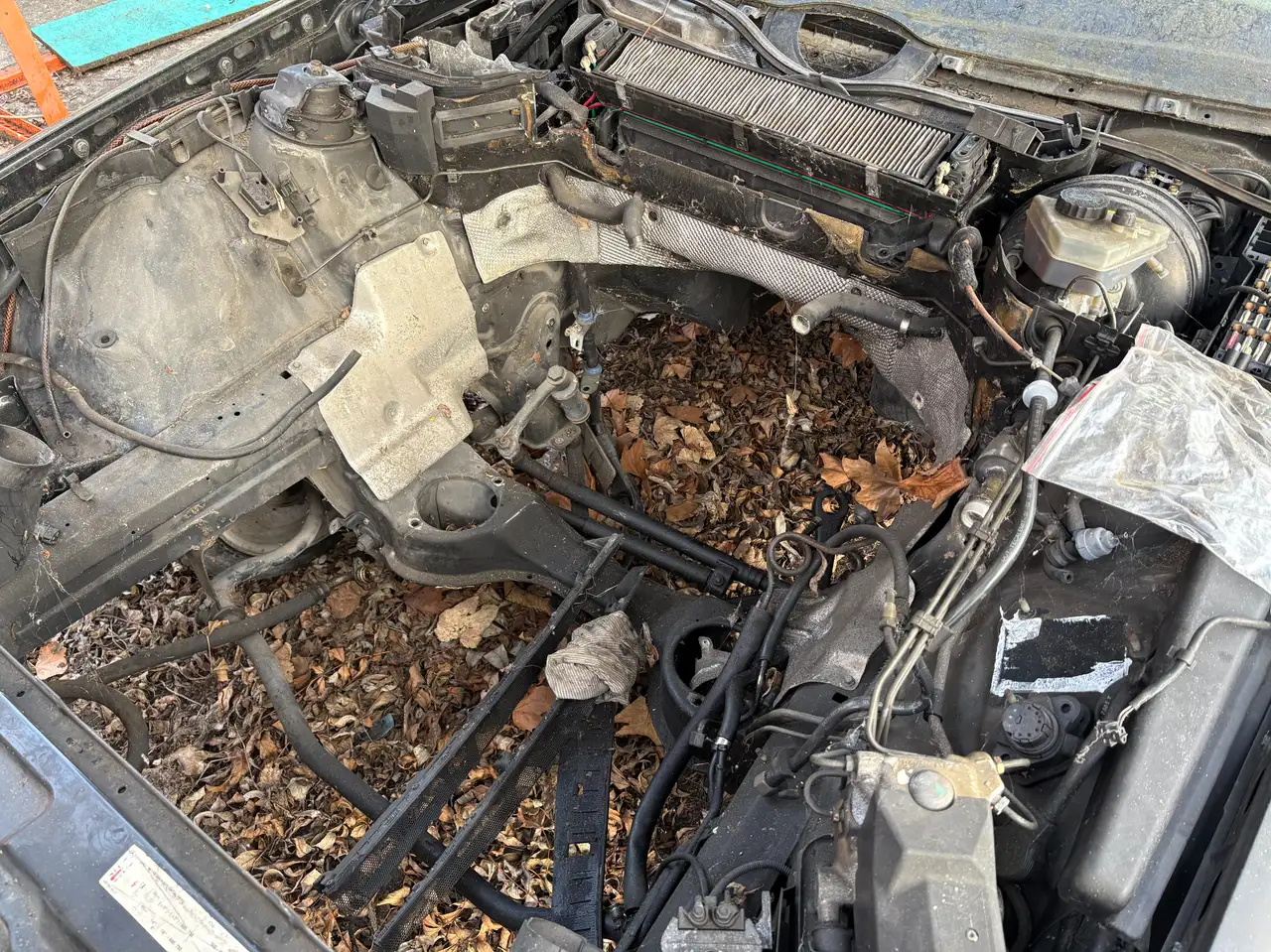 Mercedes-Benz SL 500 SL500 Rostfreie Karosserie, foto 11
