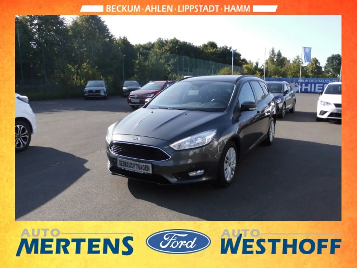 Ford Focus Turnier Business Tunier Kombi WinterPaket Gris - 1