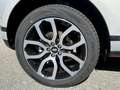 Land Rover Range Rover Evoque Range Rover Evoque 2.0D I4 163 CV AWD Auto S Argento - thumbnail 8