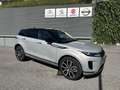 Land Rover Range Rover Evoque Range Rover Evoque 2.0D I4 163 CV AWD Auto S Argento - thumbnail 1
