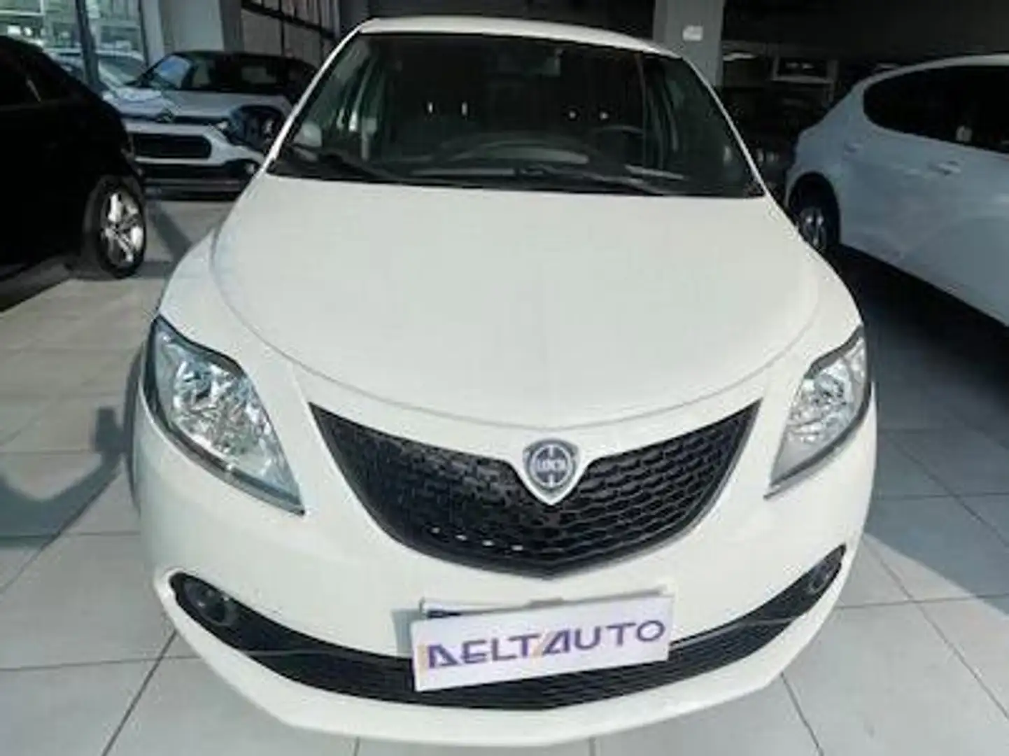 Lancia Ypsilon 1.2 Gold 69cv my16 NEOPATENTATI Blanc - 2