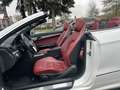 Mercedes-Benz E 200 Cabrio  CGI BlueEfficiency,  Sport Paket Белый - thumbnail 5
