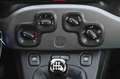 Fiat Panda 1.0 FireFly S&S Hybrid Grau - thumbnail 19