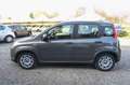 Fiat Panda 1.0 FireFly S&S Hybrid Grau - thumbnail 9