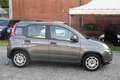 Fiat Panda 1.0 FireFly S&S Hybrid Grau - thumbnail 4