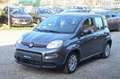 Fiat Panda 1.0 FireFly S&S Hybrid Grigio - thumbnail 1