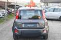 Fiat Panda 1.0 FireFly S&S Hybrid Grau - thumbnail 6