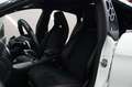 Mercedes-Benz CLA 250 CLA250 Shooting Brake 4M,AMGLine,Alcantara,Night White - thumbnail 13