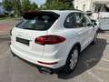 Porsche Cayenne Diesel/ Navi/ Xenon/ ACC/ Pano Blanc - thumbnail 5