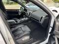 Porsche Cayenne Diesel/ Navi/ Xenon/ ACC/ Pano Blanc - thumbnail 11