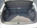 Volkswagen T-Roc 1.5 TSI R-LINE LED+NAVI+PANO+ACC+SHZ+DAB Weiß - thumbnail 14