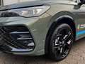 Volkswagen Tiguan 2,0 TDI SCR R-Line 4MOTION DSG AHK 20"ZOL Grün - thumbnail 8