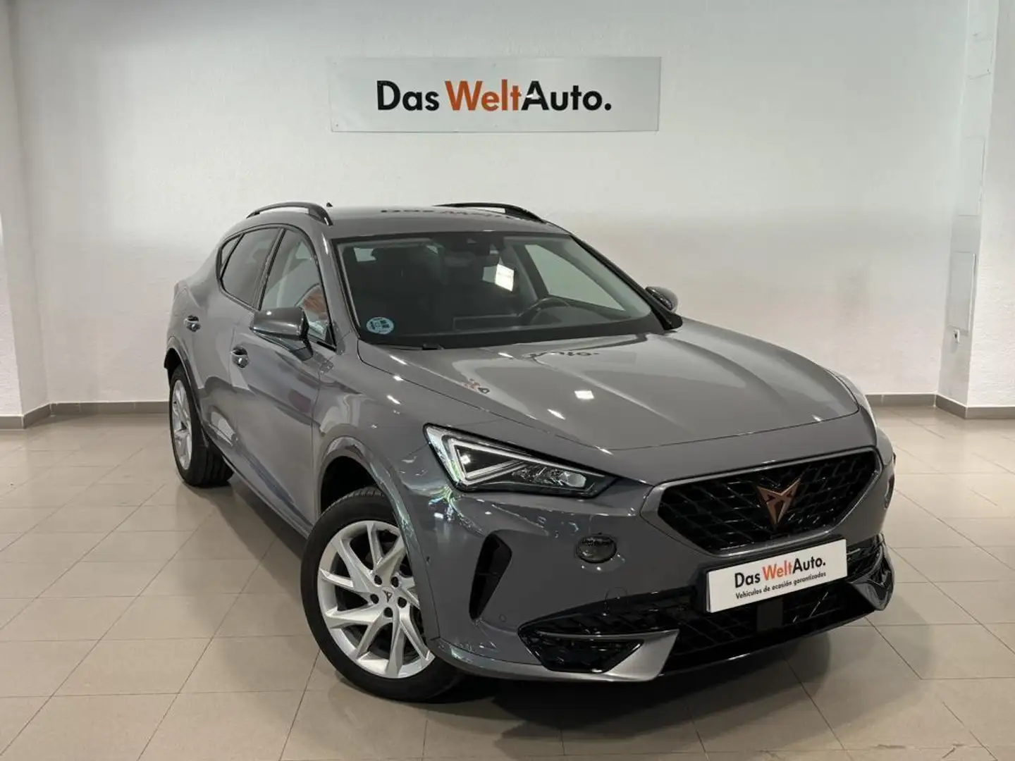 CUPRA Formentor 2.0 TDI 150 Gris - 1