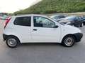 Fiat Punto 1.3 JTD 3p. 2 p.ti Van N1 AUTOCARRO Blanc - thumbnail 4