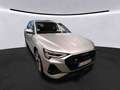 Audi e-tron 50 quattro S line 71kWh/313PS PANO+RKAM+SHZ Klima Silber - thumbnail 4