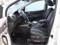 Ford Kuga 2.0 TDCI AWD TITANIUM / XENON / LEDER Weiß - thumbnail 9