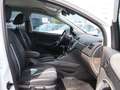 Ford Kuga 2.0 TDCI AWD TITANIUM / XENON / LEDER Білий - thumbnail 13