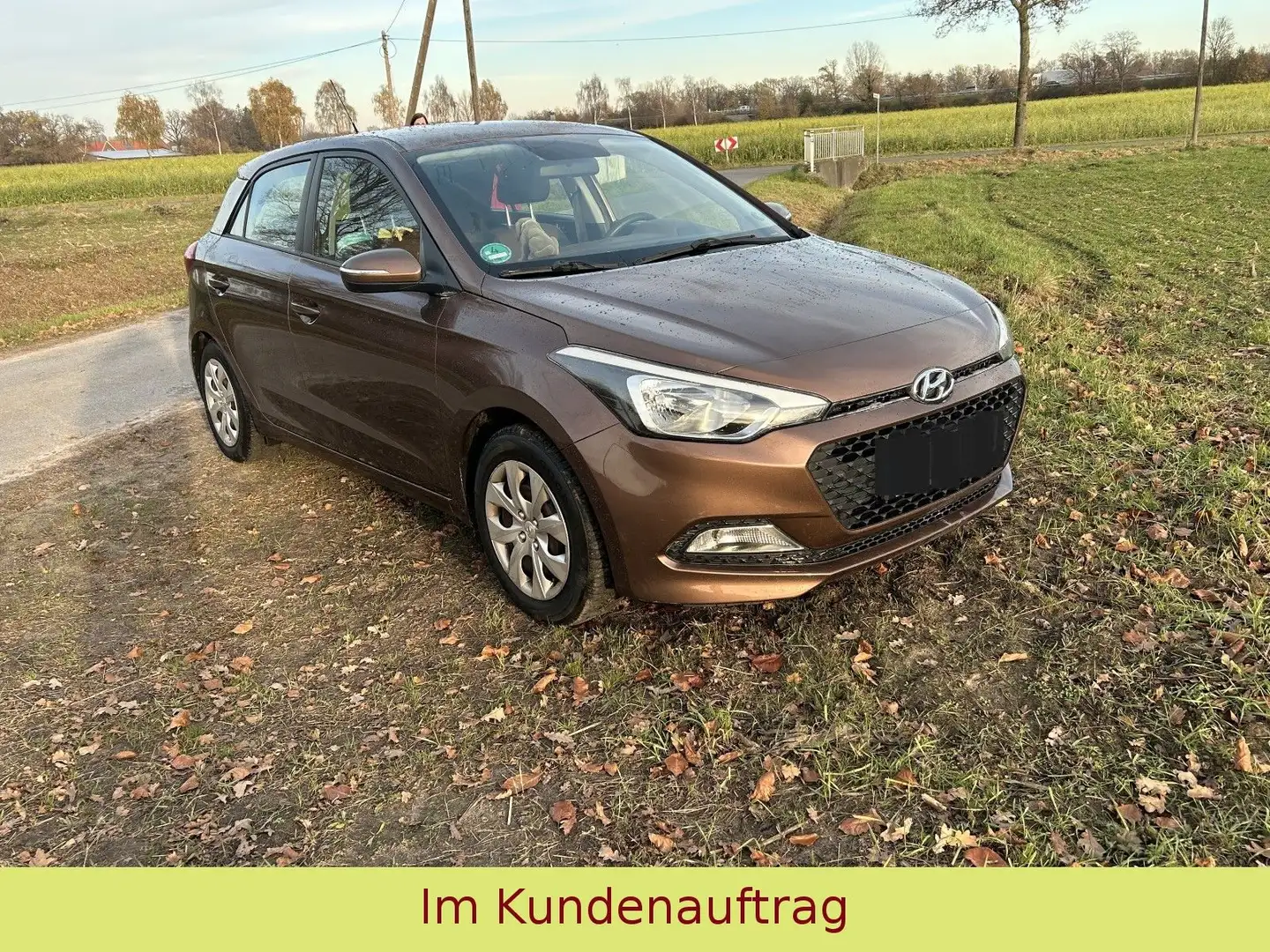 Hyundai i20 Trend Blue LED, AHK, Allwetterreifen Braun - 2