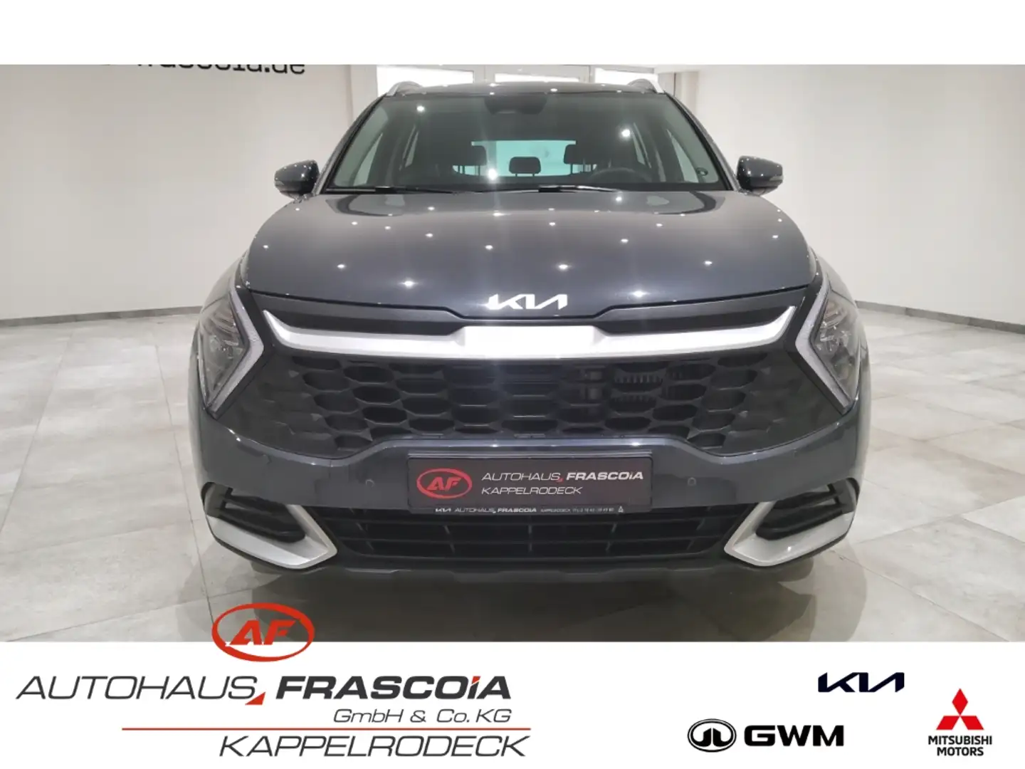 Kia Sportage Vision 4WD 1.6 T-GDI Mild-Hybrid Navi LED PDC Rück Gris - 2