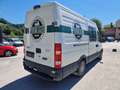 Iveco daily Weiß - thumbnail 4