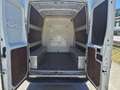 Iveco daily Weiß - thumbnail 11