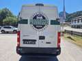 Iveco daily Weiß - thumbnail 5