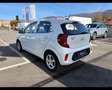 Kia Picanto 1.0 DPi GPL Urban Bianco - thumbnail 7