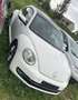 Volkswagen Beetle Beetle 1.2 TSI Design BMT - thumbnail 2