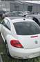 Volkswagen Beetle Beetle 1.2 TSI Design BMT - thumbnail 5