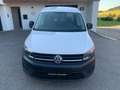 Volkswagen Caddy Kasten,REGALE Weiß - thumbnail 3