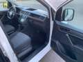Volkswagen Caddy Kasten,REGALE Weiß - thumbnail 13