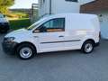 Volkswagen Caddy Kasten,REGALE Weiß - thumbnail 4