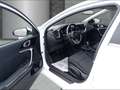 Kia Ceed SW / cee'd SW 1.5 T-GDI Vision DCT Navi Rfk Sitzhzg. Digitales C Wit - thumbnail 7