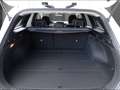 Kia Ceed SW / cee'd SW 1.5 T-GDI Vision DCT Navi Rfk Sitzhzg. Digitales C Wit - thumbnail 5