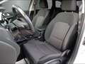 Kia Ceed SW / cee'd SW 1.5 T-GDI Vision DCT Navi Rfk Sitzhzg. Digitales C Wit - thumbnail 8