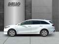 Kia Ceed SW / cee'd SW 1.5 T-GDI Vision DCT Navi Rfk Sitzhzg. Digitales C Wit - thumbnail 2
